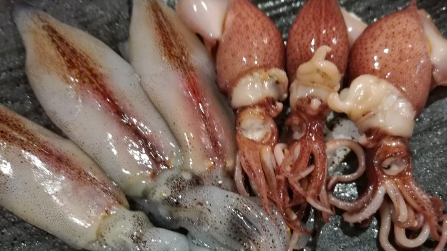 ホタルイカが食べたくなって駒沢魚庵 直へ