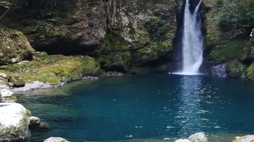 高知に行ってきた!